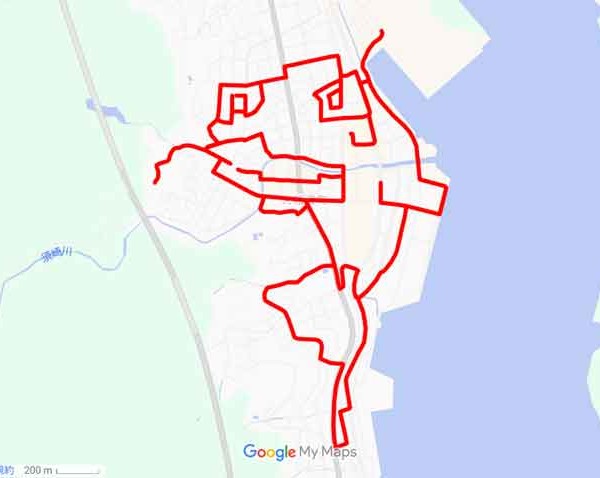 Catfish in Ofunato Tsunami Museum