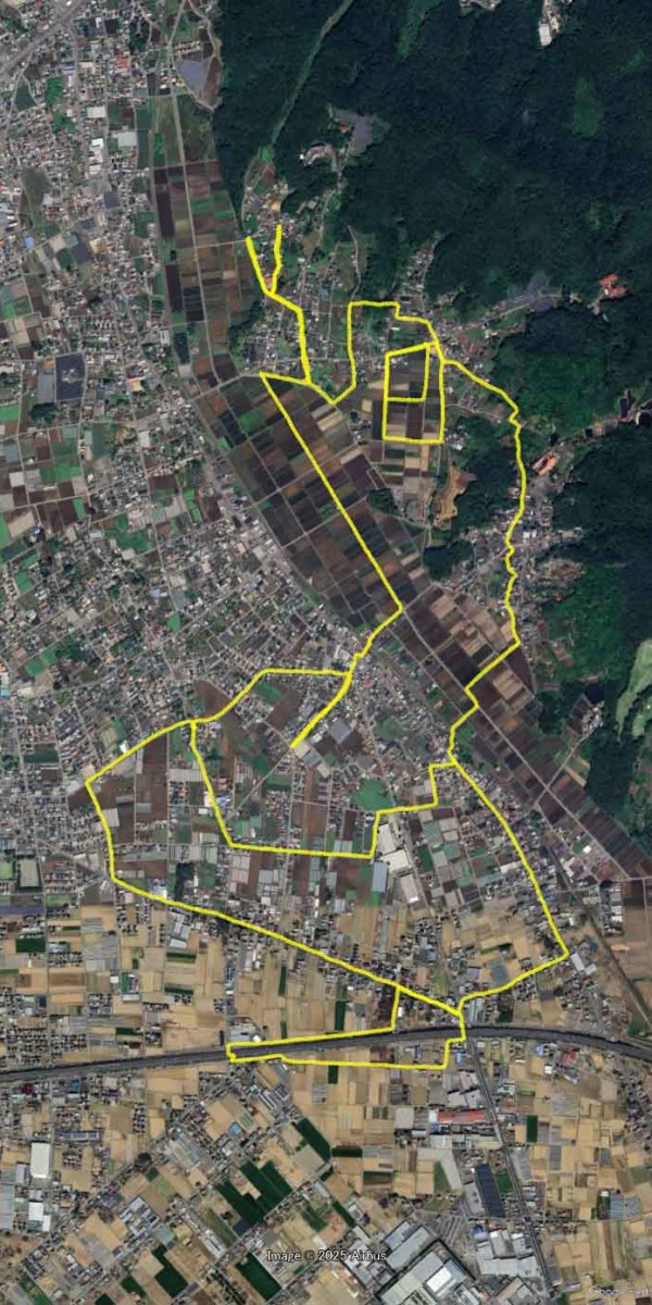 Snake in Japan Snake Center