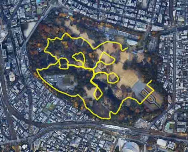 Sakura🌸 in Shinjuku-Gyoen Park