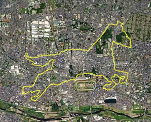 Horse around JRA Tokyo Racecourse