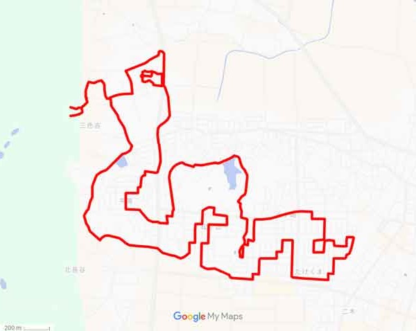 金蛇水神社の蛇